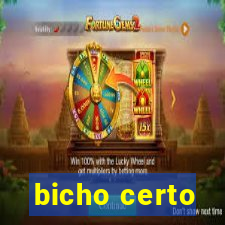 bicho certo